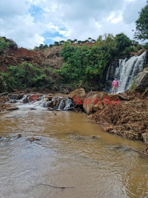 ĐẤT ĐẸP - GIÁ TỐT - Cần Bán Lô Đất Vị Trí Đắc Địa Tại Xã Tân Hà, Huyện Lâm Hà, Lâm Đồng _0