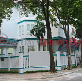New house for rent by owner, 75m2,4T, Office, Business, Restaurant, Tam Trinh-20M _0