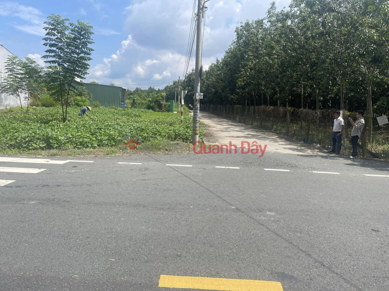 Property Search Vietnam | OneDay | , Sales Listings 127m2 residential land plot for sale, full plot right in the center of Go Dau town, price 350 million