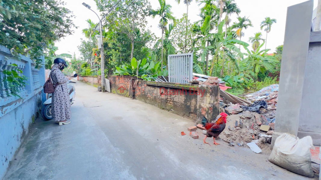 BÁN GẤP 116M² ĐẤT HỒNG HÀ – ĐAN PHƯỢNG – Ô TÔ VÀO TẬN NƠI, GẦN CẦU HỒNG HÀ – VÀNH ĐAI 4, Việt Nam Bán đ 5,5 tỷ