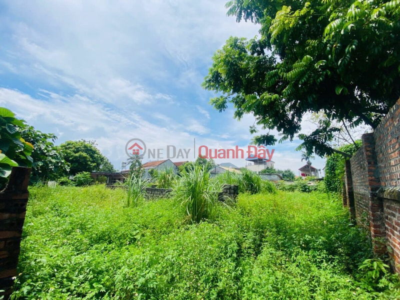 Property Search Vietnam | OneDay | Residential, Sales Listings, OWNER'S FO GOODS 309.9M2 AT THUY XUAN TIEN-CHUONG MY-HANOI
