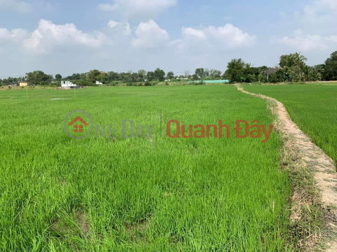 EXTREMELY HOT! OWNER REDUCE PRICE NEEDS TO RELEASE 2 Lots of Land QUICKLY In Go Cong Town, Tien Giang _0