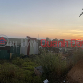 Beautiful Land - Good Price - Owner Needs to Sell Land Lot in Nice Location in Nam Ha Commune, Lam Ha District, Lam Dong _0