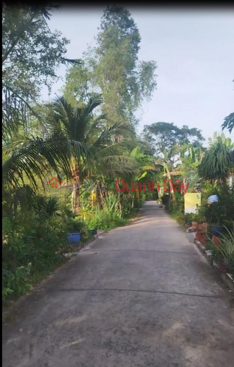 Bán đất thổ cư Sổ Hồng 155m2 Cao Mên Trên, Sa Đéc, Đồng Tháp giá 1 tỷ 050 triệu _0