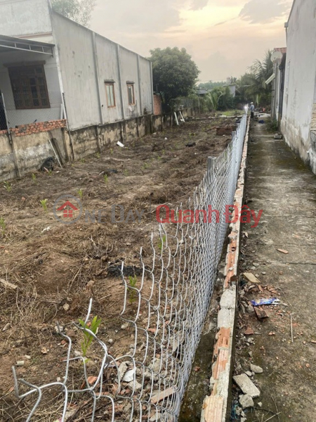 PRIME LAND FOR SALE - GREAT PRICE - OWNER SELLING QUICKLY - A PLOT OF LAND IN A STREET LOCATION in Long Thanh District, Dong Nai Province, Vietnam, Sales, đ 2.49 Billion
