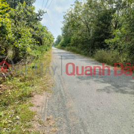 Cut a loss of 200 million to sell the durian garden being harvested in Chon Thanh _0