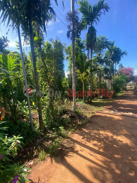 Property Search Vietnam | OneDay | Nhà ở, Niêm yết bán Chính chủ bán đất Cư Kuin, Đắk Lắk - Mặt tiền bê tông, nở hậu 26m - Sổ đỏ đầy đủ, giá tốt