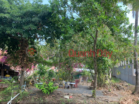 QUICK OWNERSHIP Land Frontage Provincial Road 877, Binh Thuy Hamlet, An Thanh Thuy, Cho Gao, Tien Giang _0