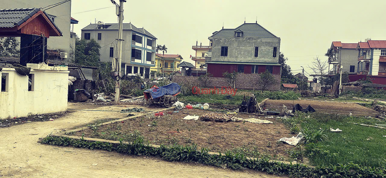 Property Search Vietnam | OneDay | Residential | Sales Listings Selling 42m2 of land in group 9, Quang Minh town, Me Linh. Corner lot with 2 open sides, extremely beautiful